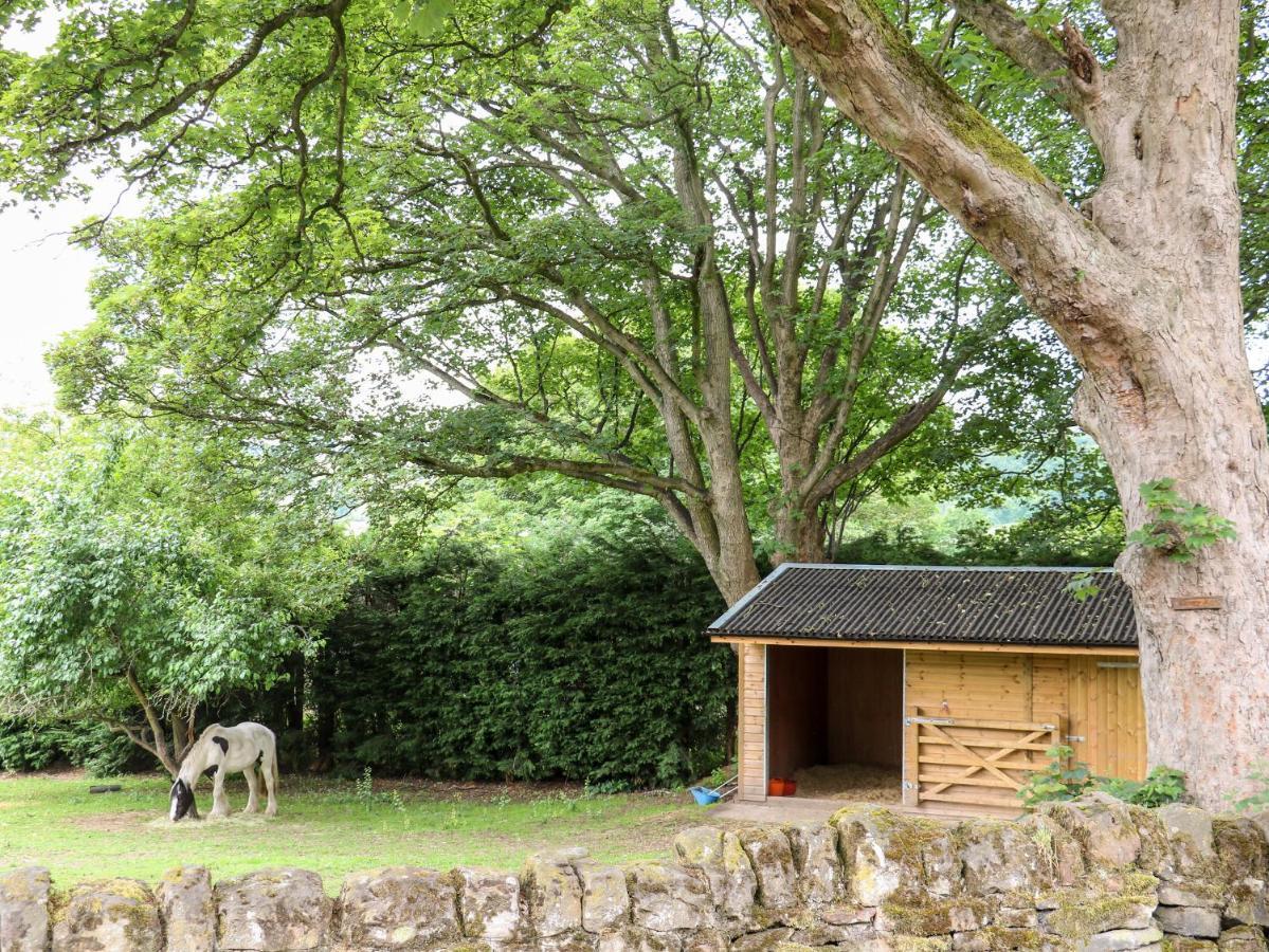 Bluebell Cottage Alfreton Exterior foto